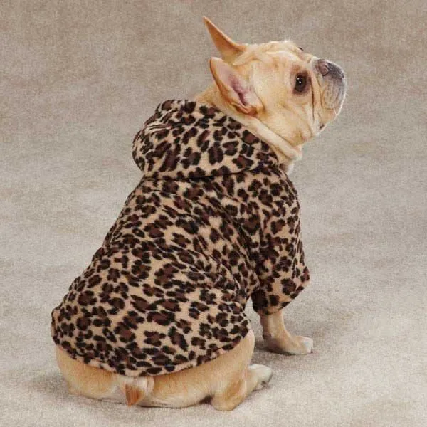 Business 1 image SALON DE BEAUTÉ CANINE