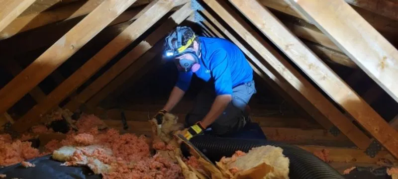 Business 2 image NET ZERO INSULATION INC