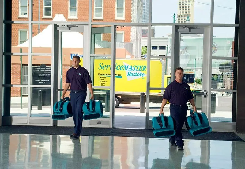 Entreprises 6 image SERVICEMASTER OF SAINT JOHN