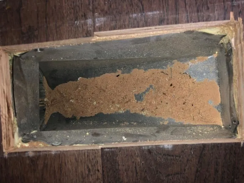 Business 12 image SM DUCT CLEANING - TORONTO