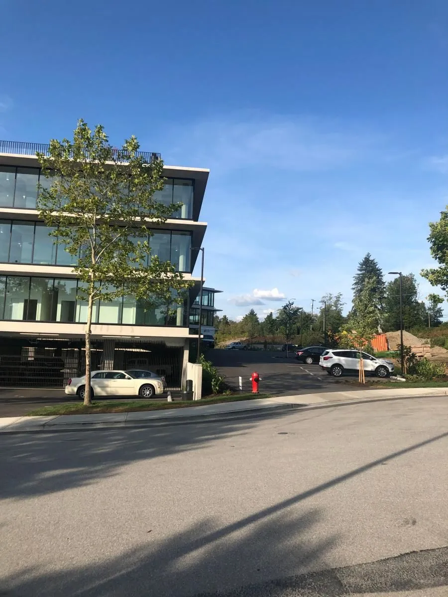 Business 8 image SMILE DIRECT CLUB