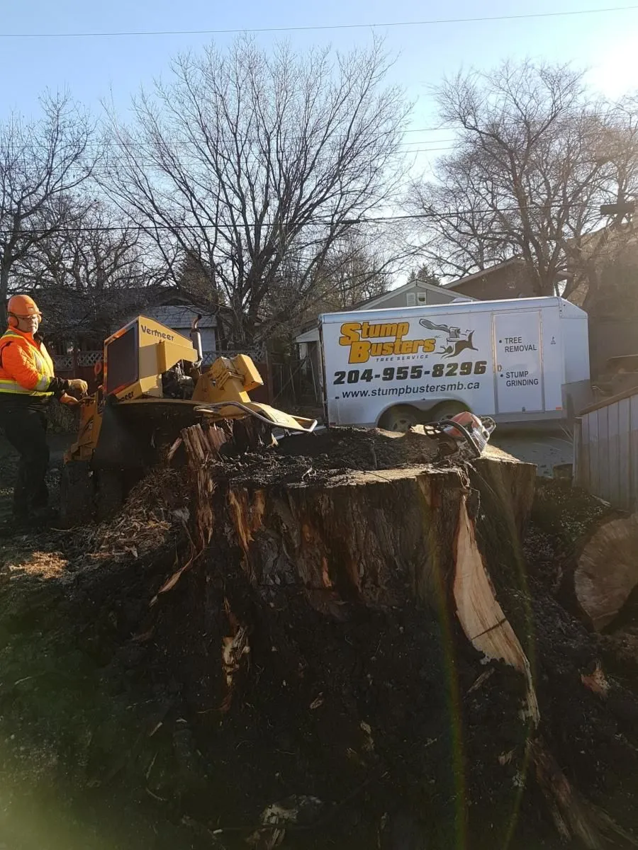 Entreprises 7 image STUMP BUSTERS