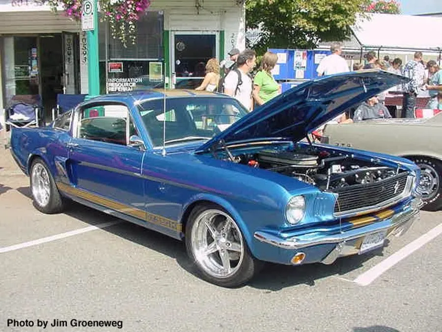 Business 3 image ICING ON THE CAR