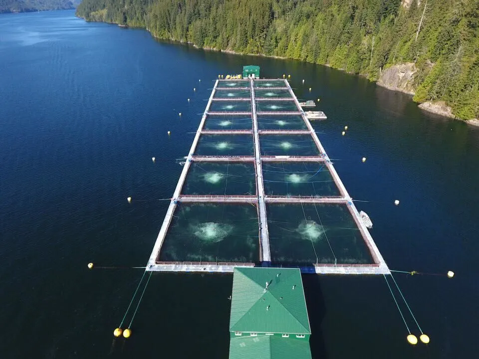 Business 2 image CPI EQUIPMENT INC