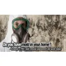 WATER DAMAGE TORONTO MOLD REMOVAL - EMERGENCY PLUMBER | GTA RESTORATION Real Estate & Home Improvement dans North York ON