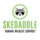 SKEDADDLE HUMANE WILDLIFE CONTROL HALIFAX Pest & Vermin Control in Dartmouth NS