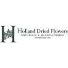 HOLLAND DRIED FLOWERS