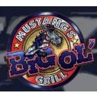 MUSTANG S BIG OL GRILL