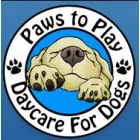 PAWS TO PLAY