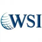 WSI ESTRATEGIES