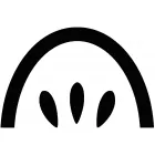 TEAMNUTRITION MONCTON