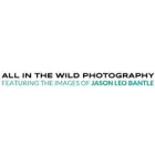 ALL IN THE WILD PHOTOGRAPHY