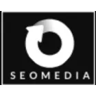 SEO PROFESSIONAL CONSULTANT