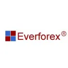 EVER FOREX FINANCIAL CORP.