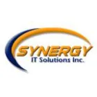SYNERGY IT SOLUTIONS INC