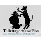 AU SALON LUSTRE POIL