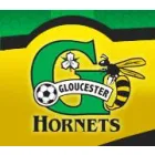 GLOUCESTER SOCCER ASSOCIATION-YOUTH HORNETS