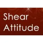 SHEAR ATTITUDE