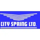 CITY SPRING LTD