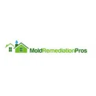 MOLD REMEDIATION PROS