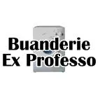 EX PROFESSO BUANDERIE INC