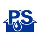 P & S PROFESSIONAL SERVICE