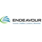 ENDEAVOUR SOLUTIONS INC
