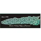 STEVESTON VILLAGE ORTHOPAEDIC & SPORTS PHYSIOTHERAPY