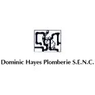 DOMINIC HAYES PLOMBERIE INC