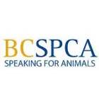 SOCIETY FOR THE PREVENTION OF CRUELTY TO ANIMALS