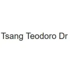 TEODORO TSANG & ASSOC