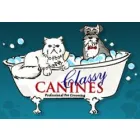 CLASSY CANINES
